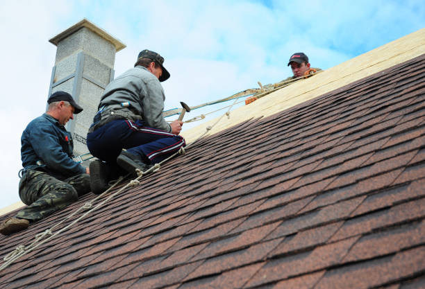 Best Roof Repair Services  in North Madison, OH