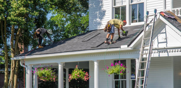 Best Roof Gutter Cleaning  in North Madison, OH